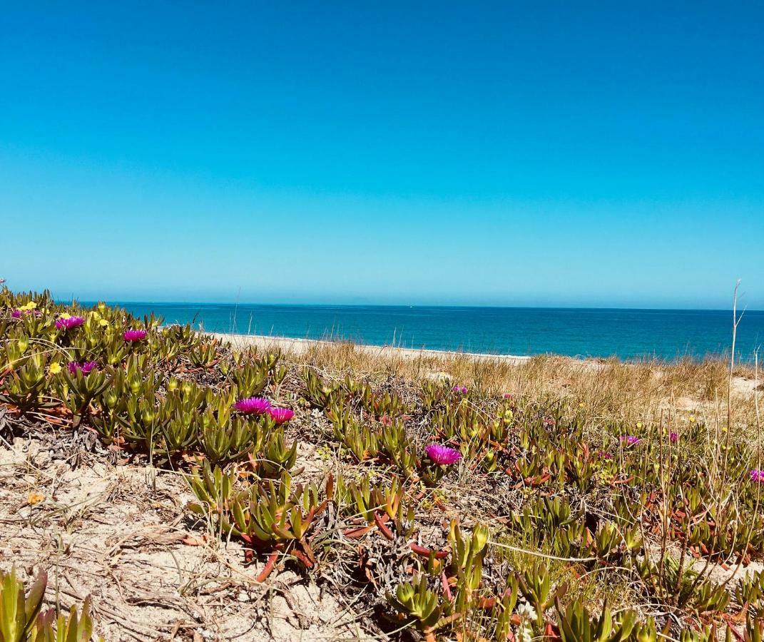 Casa Sulla Spiaggia- Mortelle مسينا المظهر الخارجي الصورة