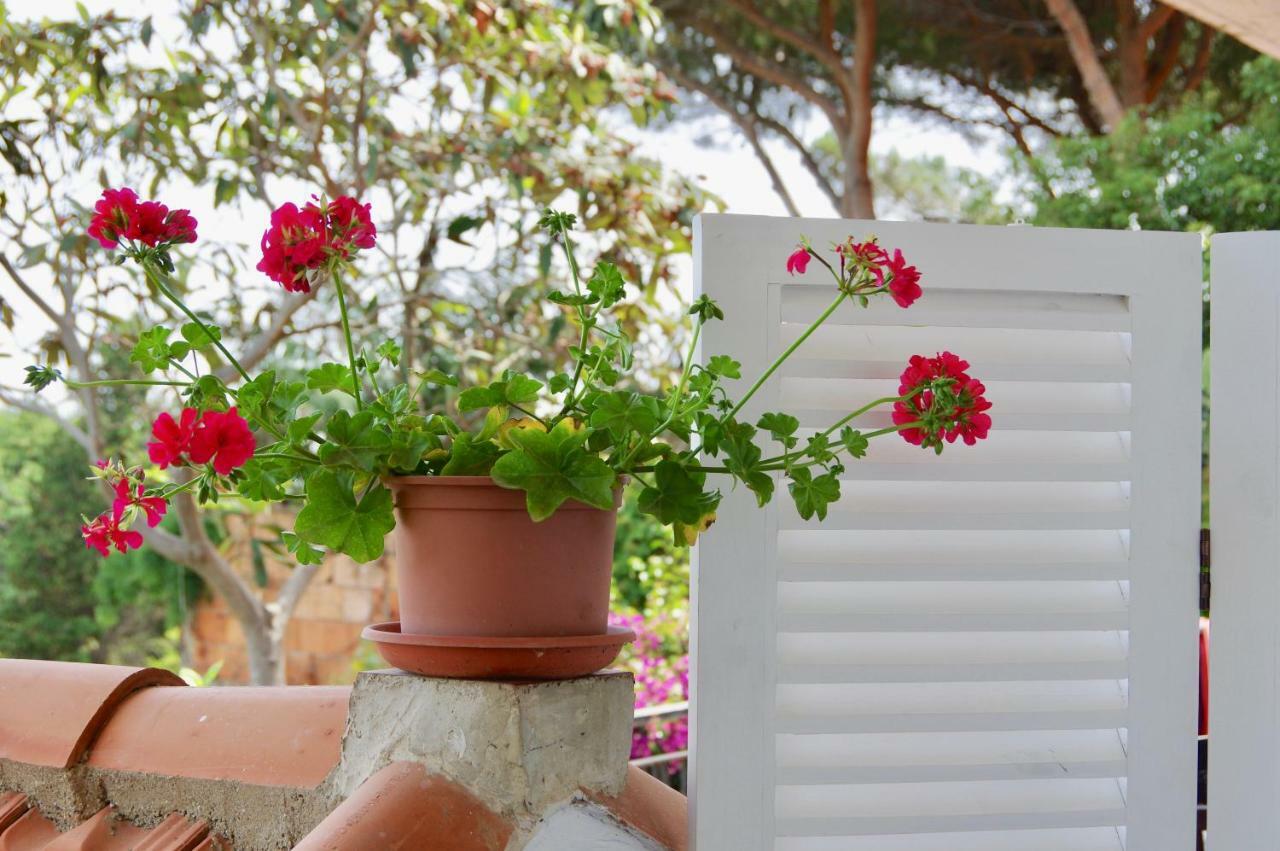 Casa Sulla Spiaggia- Mortelle مسينا المظهر الخارجي الصورة